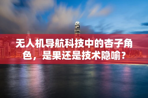 无人机导航科技中的杏子角色，是果还是技术隐喻？
