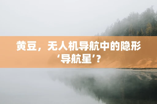 黄豆，无人机导航中的隐形‘导航星’？