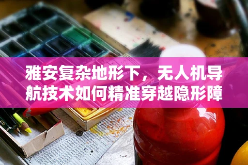 雅安复杂地形下，无人机导航技术如何精准穿越隐形障碍？