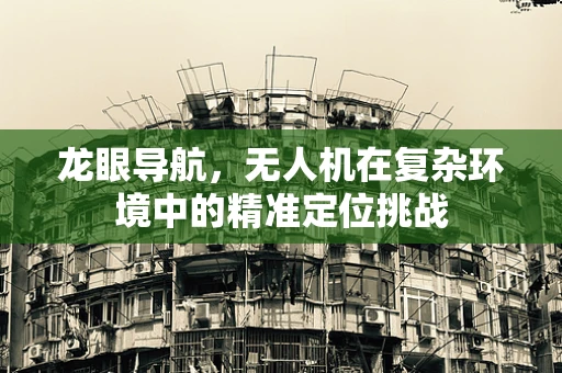 龙眼导航，无人机在复杂环境中的精准定位挑战