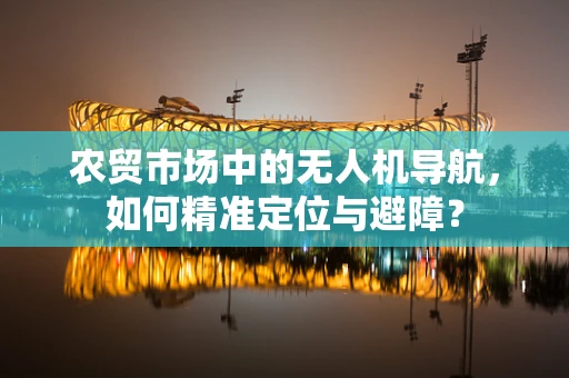 农贸市场中的无人机导航，如何精准定位与避障？