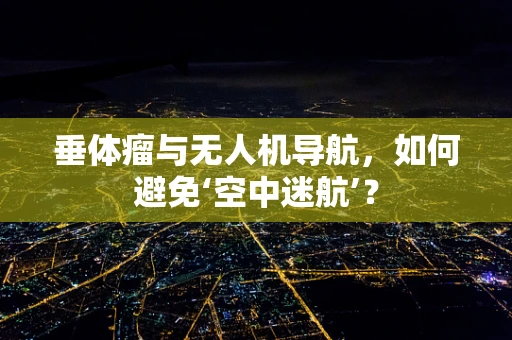 垂体瘤与无人机导航，如何避免‘空中迷航’？