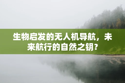 生物启发的无人机导航，未来航行的自然之钥？