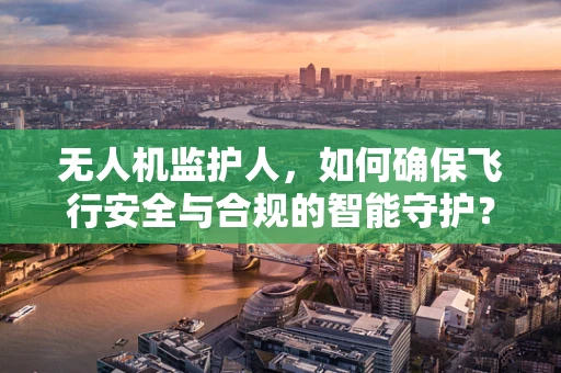 无人机监护人，如何确保飞行安全与合规的智能守护？