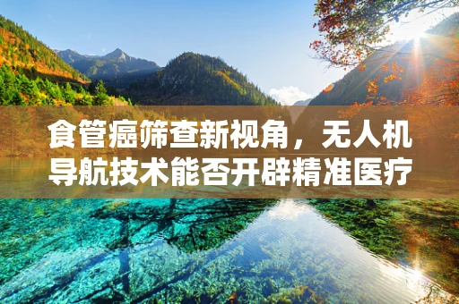 食管癌筛查新视角，无人机导航技术能否开辟精准医疗的空中走廊？