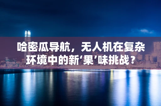 哈密瓜导航，无人机在复杂环境中的新‘果’味挑战？