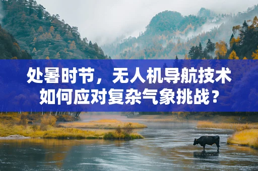 处暑时节，无人机导航技术如何应对复杂气象挑战？