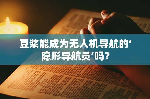 豆浆能成为无人机导航的‘隐形导航员’吗？