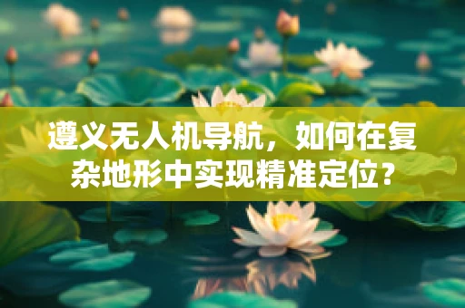遵义无人机导航，如何在复杂地形中实现精准定位？
