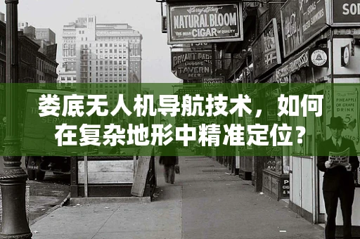 娄底无人机导航技术，如何在复杂地形中精准定位？