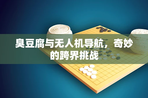 臭豆腐与无人机导航，奇妙的跨界挑战