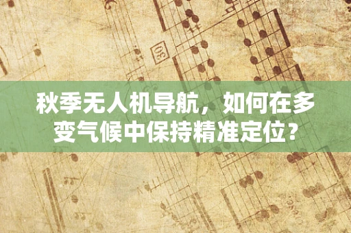 秋季无人机导航，如何在多变气候中保持精准定位？