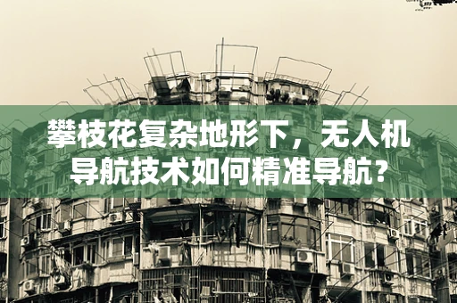 攀枝花复杂地形下，无人机导航技术如何精准导航？