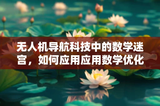 无人机导航科技中的数学迷宫，如何应用应用数学优化路径规划？