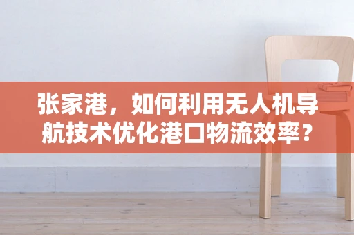 张家港，如何利用无人机导航技术优化港口物流效率？