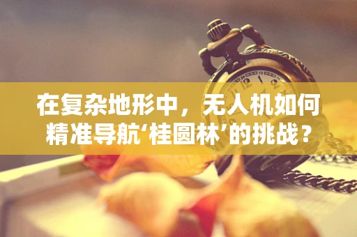 在复杂地形中，无人机如何精准导航‘桂圆林’的挑战？