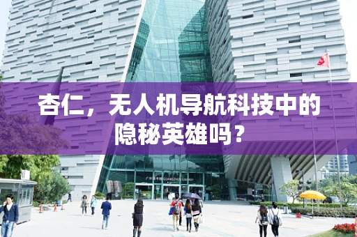杏仁，无人机导航科技中的隐秘英雄吗？