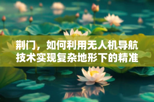 荆门，如何利用无人机导航技术实现复杂地形下的精准定位？