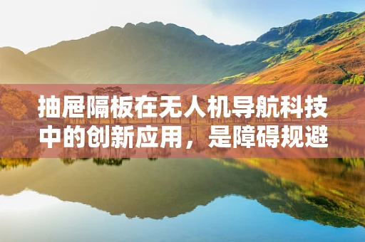 抽屉隔板在无人机导航科技中的创新应用，是障碍规避的新思路吗？