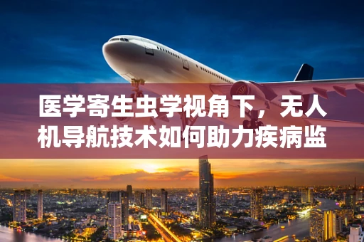 医学寄生虫学视角下，无人机导航技术如何助力疾病监测？