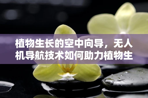 植物生长的空中向导，无人机导航技术如何助力植物生物学研究？