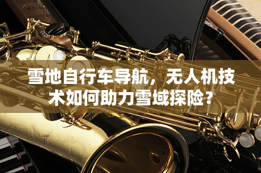 雪地自行车导航，无人机技术如何助力雪域探险？