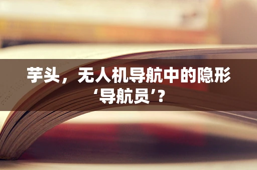 芋头，无人机导航中的隐形‘导航员’？