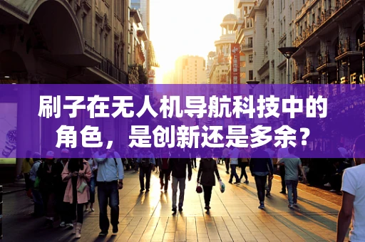 刷子在无人机导航科技中的角色，是创新还是多余？