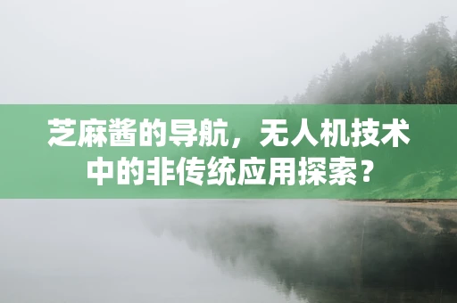 芝麻酱的导航，无人机技术中的非传统应用探索？