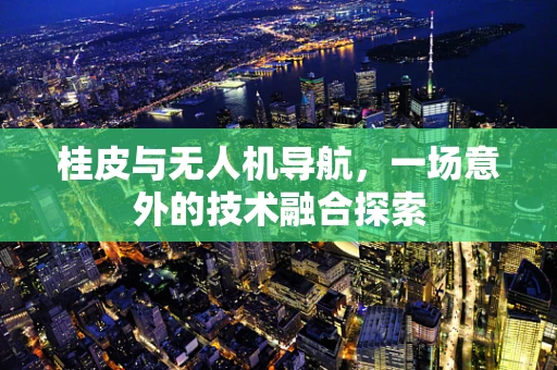 桂皮与无人机导航，一场意外的技术融合探索