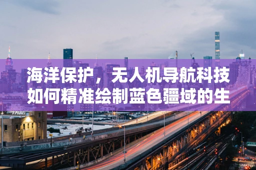 海洋保护，无人机导航科技如何精准绘制蓝色疆域的生态地图？