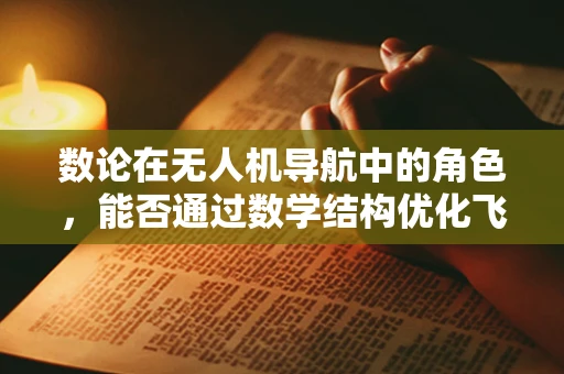 数论在无人机导航中的角色，能否通过数学结构优化飞行路径？