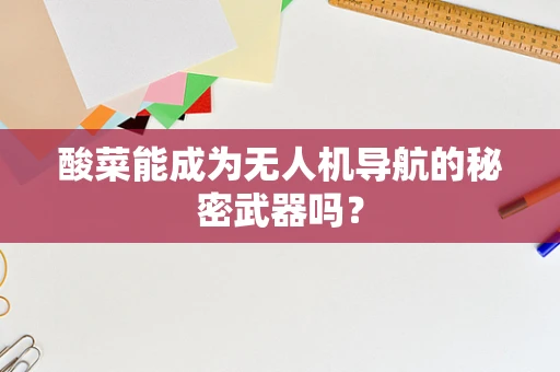 酸菜能成为无人机导航的秘密武器吗？