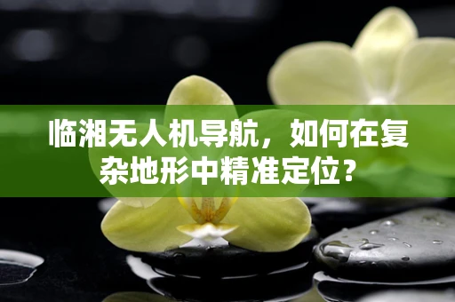 临湘无人机导航，如何在复杂地形中精准定位？