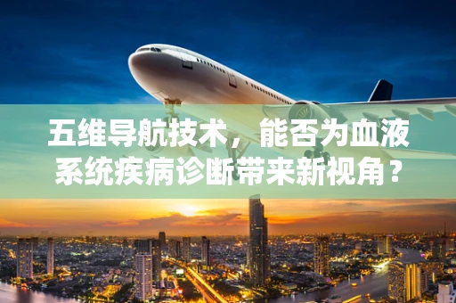 五维导航技术，能否为血液系统疾病诊断带来新视角？