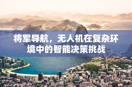 将军导航，无人机在复杂环境中的智能决策挑战