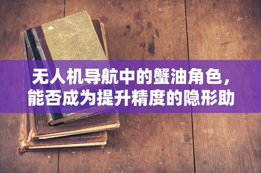 无人机导航中的蟹油角色，能否成为提升精度的隐形助力？