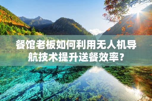餐馆老板如何利用无人机导航技术提升送餐效率？
