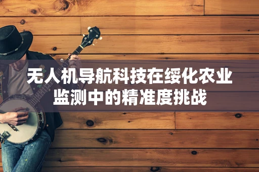 无人机导航科技在绥化农业监测中的精准度挑战
