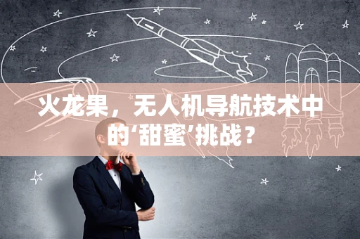 火龙果，无人机导航技术中的‘甜蜜’挑战？