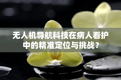 无人机导航科技在病人看护中的精准定位与挑战？
