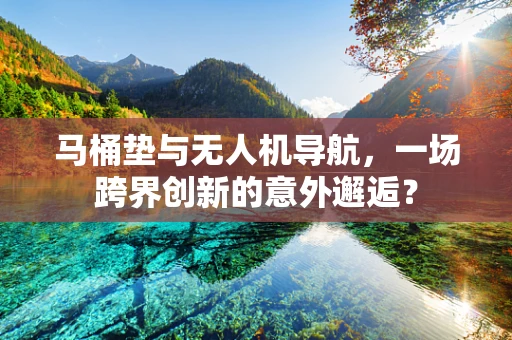 马桶垫与无人机导航，一场跨界创新的意外邂逅？