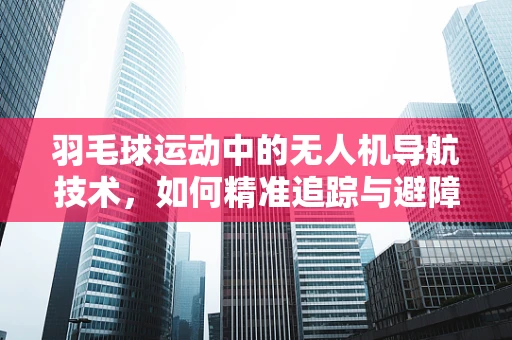 羽毛球运动中的无人机导航技术，如何精准追踪与避障？