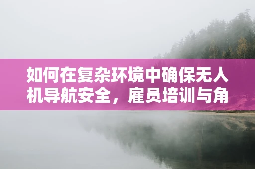 如何在复杂环境中确保无人机导航安全，雇员培训与角色定位的挑战？