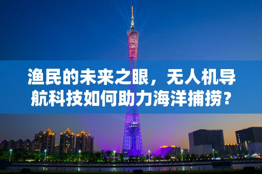 渔民的未来之眼，无人机导航科技如何助力海洋捕捞？