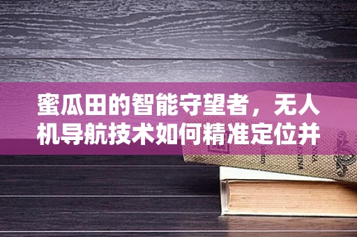 蜜瓜田的智能守望者，无人机导航技术如何精准定位并避免空中蜜瓜盗？