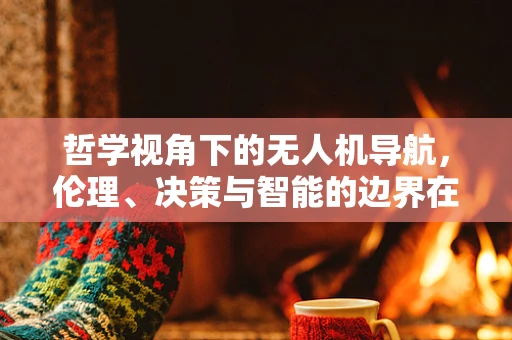 哲学视角下的无人机导航，伦理、决策与智能的边界在哪里？