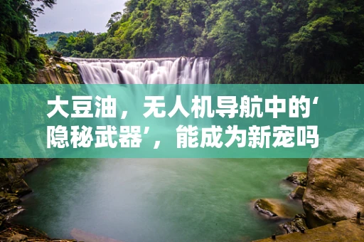 大豆油，无人机导航中的‘隐秘武器’，能成为新宠吗？