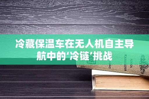 冷藏保温车在无人机自主导航中的‘冷链’挑战