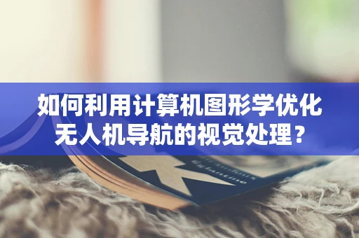 如何利用计算机图形学优化无人机导航的视觉处理？